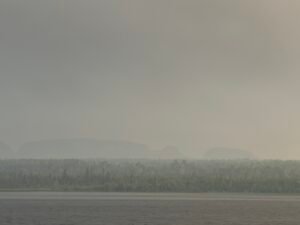 img 0801